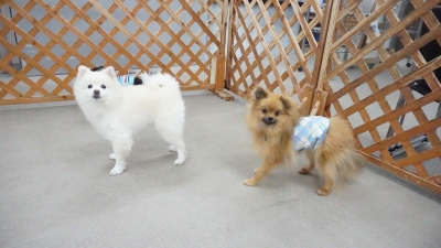 DSC05348.JPG
