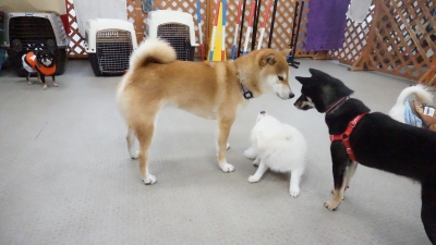 DSC05358.JPG
