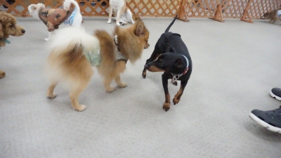 DSC05360.JPG