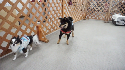 DSC05364.JPG