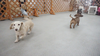 DSC05435.JPG