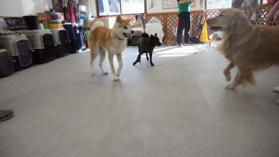 DSC05453.JPG