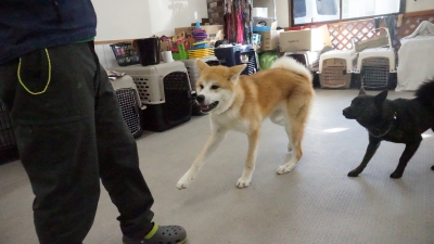 DSC05454.JPG