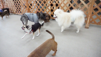 DSC05462.JPG