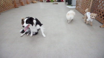 DSC05465.JPG