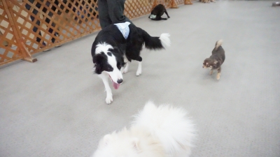 DSC05466.JPG