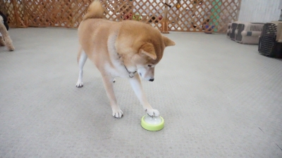 DSC05487.JPG