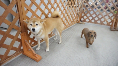 DSC05514.JPG