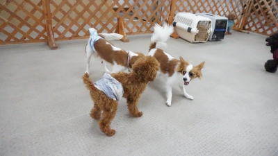 DSC05526.JPG