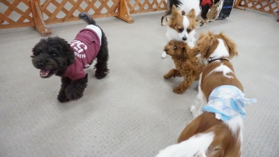 DSC05527.JPG