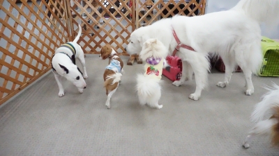 DSC05536.JPG