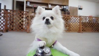 DSC05550.JPG