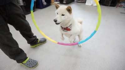 DSC05555.JPG