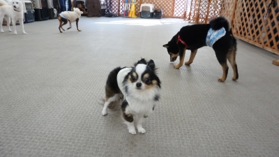 DSC06736.JPG