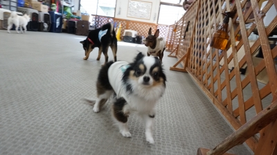 DSC06737.JPG