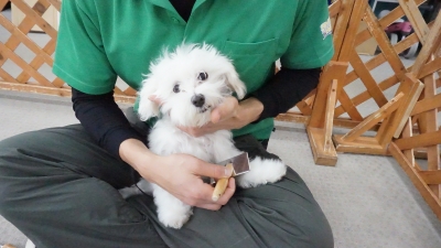 DSC06784.JPG