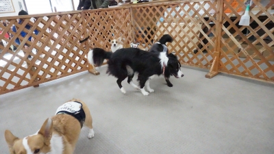 DSC07002.JPG