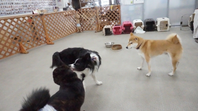 DSC07006.JPG