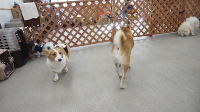 DSC07007.JPG
