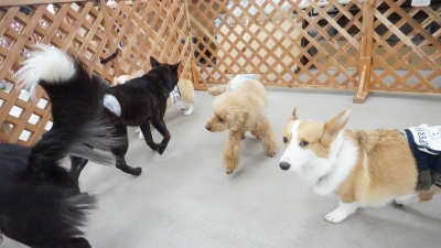 DSC07011.JPG