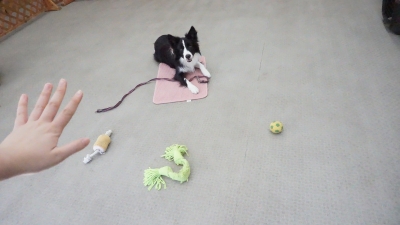 DSC07022.JPG