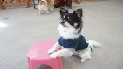 DSC07023.JPG