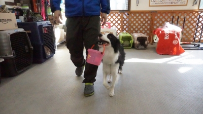 DSC07031.JPG