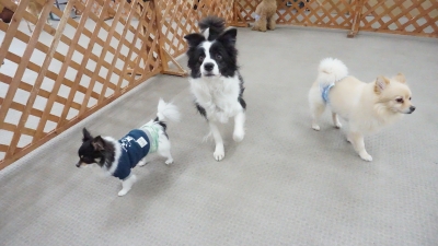 DSC07035.JPG