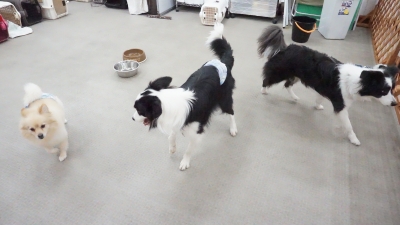 DSC07036.JPG