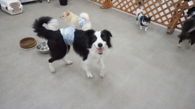 DSC07037.JPG