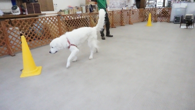 DSC07064.JPG