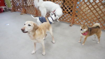 DSC07089.JPG