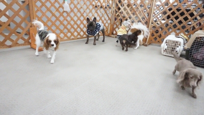 DSC07094.JPG