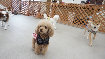 DSC07129.JPG