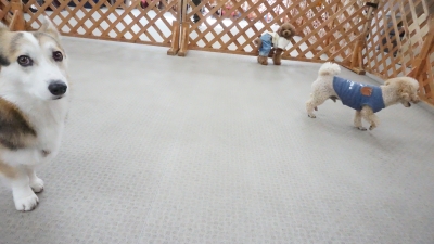 DSC07133.JPG