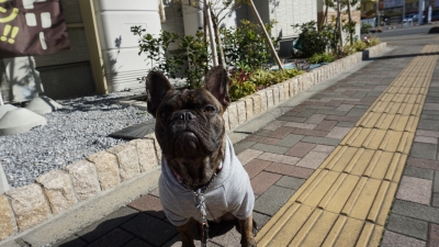 DSC07229.JPG