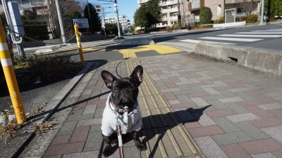 DSC07230.JPG