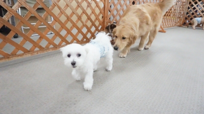 DSC07256.JPG