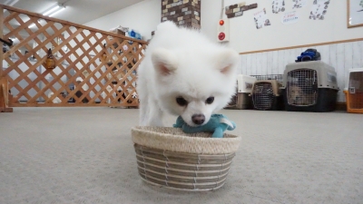 DSC07296.JPG