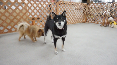 DSC07322.JPG