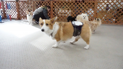 DSC07334.JPG