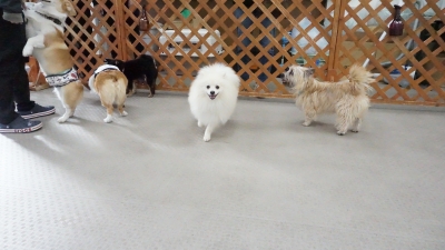 DSC07336.JPG
