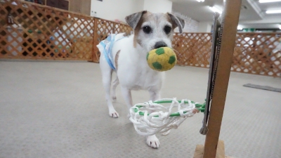 DSC07381.JPG