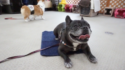 DSC07383.JPG