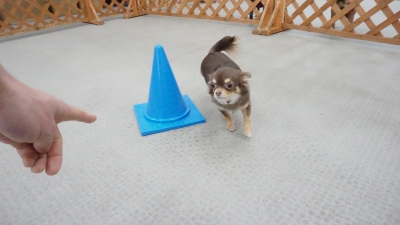 DSC07400.JPG