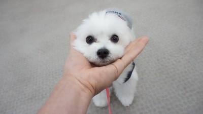DSC07402.JPG