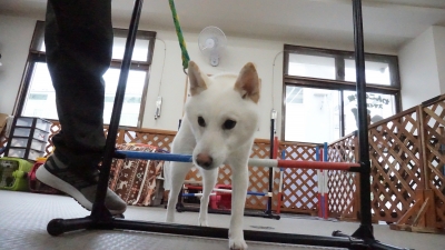 DSC07403.JPG