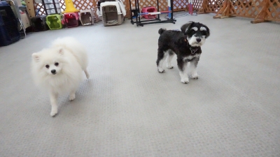 DSC07406.JPG