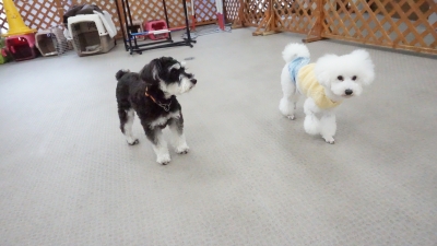 DSC07407.JPG