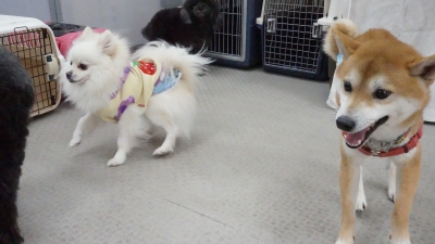 DSC07413.JPG